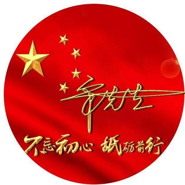 大米种子干果立式称重颗粒包装机全自动定量包装秤
