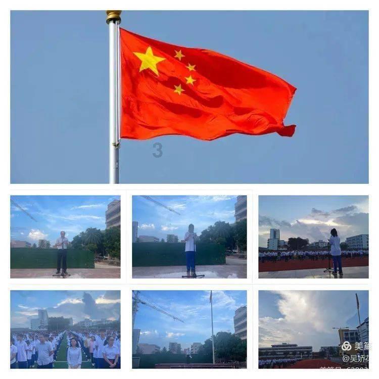 新西兰一小企鹅跑上机场跑道致航班延误 被抓后一脸呆萌